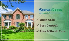 Spring-Green Lawn & Tree Care