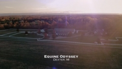 Equine Odyssey