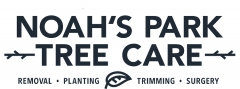 Noah's Park Tree Care