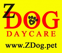 Z Dog Daycare