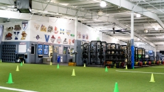 Elite Sports Physical Therapy 