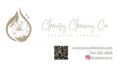 Cleansy Cleaning Co.