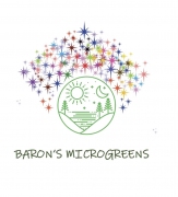 Barons Microgreens