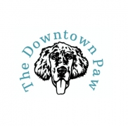The Downtown Paw