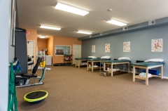 Springfield PT and Sports Rehab