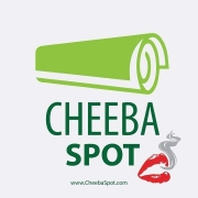 Cheeba Spot LLC