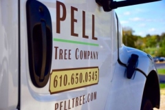 Pell Tree Company