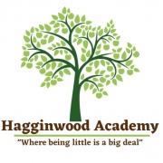 Hagginwood Academy