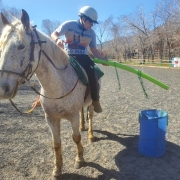 Nevada Equine Assisted Therapy (NEAT)