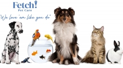 Fetch Pet Care