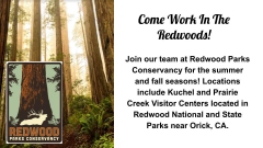 Redwood Parks Conservancy