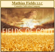 Mathias Fields 