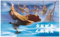 OC Shaolin Kung Fu Academy