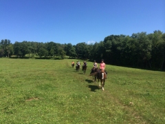 Road's End Farm Horsemanship Camp