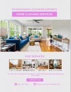 Phenomenal Cleaning Experts, LLC