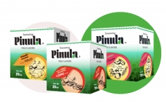 Pinula Foods Inc