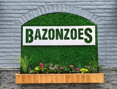 Bazonzoes