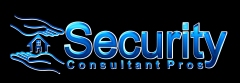 Security Consultant Pros