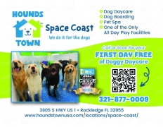 Hounds Town USA Space Coast
