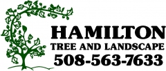Hamilton Tree and Landscape