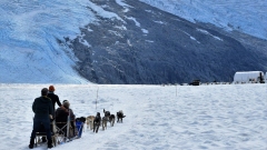 Alaska Icefield Expeditions 