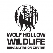 Wolf Hollow Wildlife Rehabilitation Center