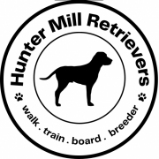Hunter Mill Retrievers