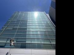 Vertical Window Cleaning