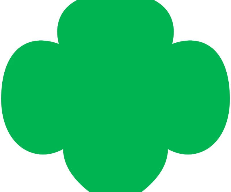 20250512_124556_68224ff44ea6b.png